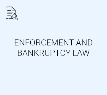 Enforcement And Bankruptcy Law